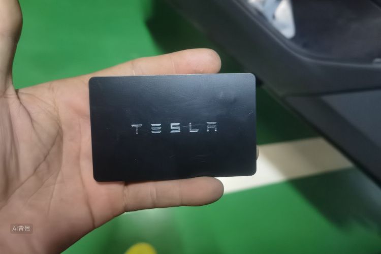 Tesla Model 3 2025 imagem de carro #10