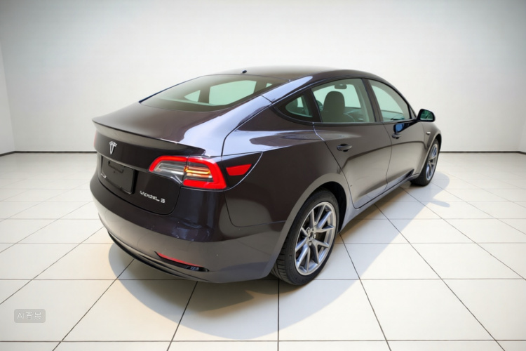 Tesla Model 3 2021 car image #7