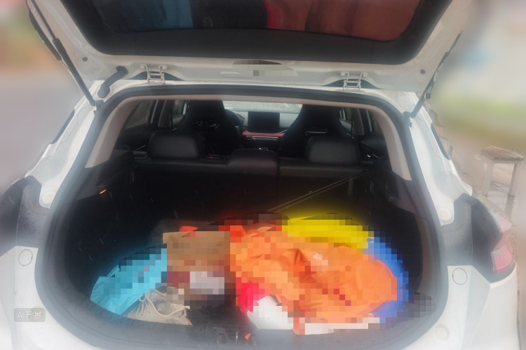 GEELY Emgrand S 2021 car image #21