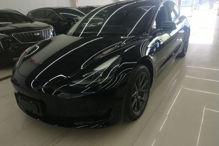 Tesla Model 3 2021 #2 Tesla Model 3 2021 immagine di auto #2