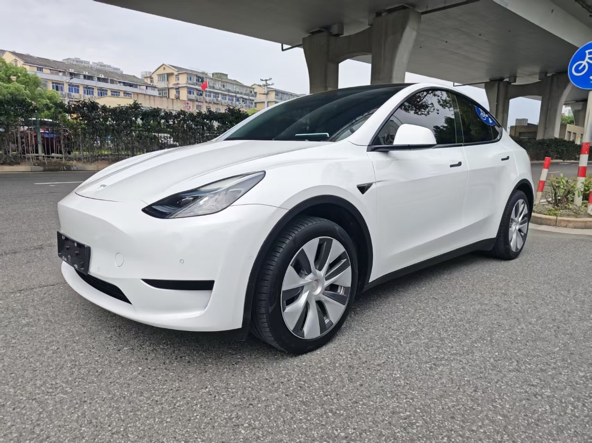 Tesla Model Y 2022 Tesla Model Y 2022 car image