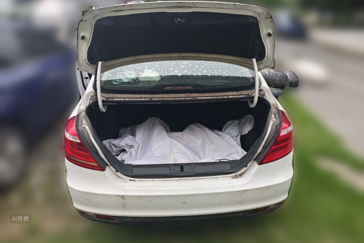 GEELY Emgrand 2016 car image #21