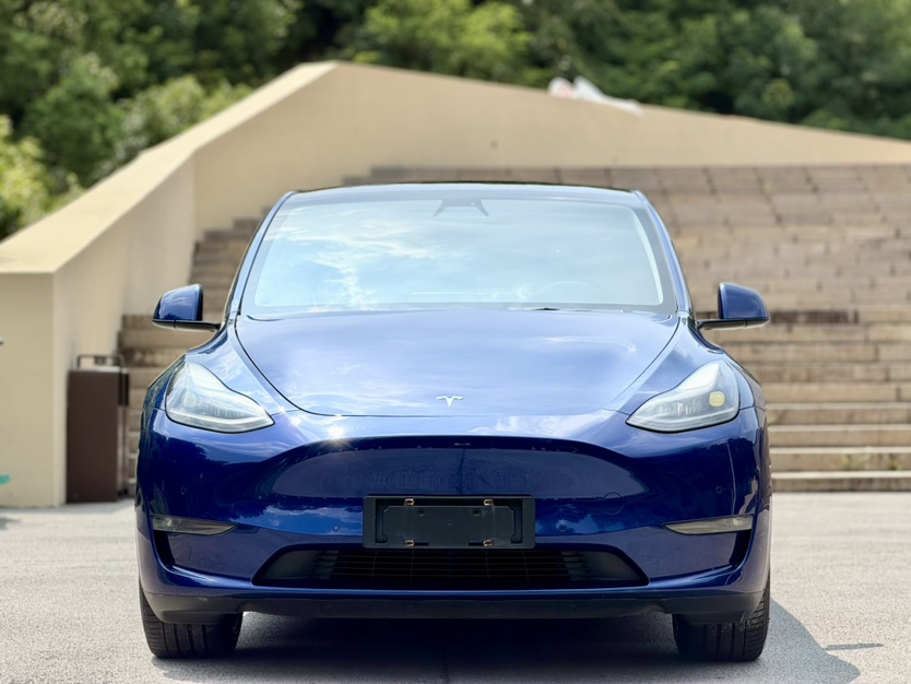 Tesla Model Y 2021 #2 Tesla Model Y 2021 car image #2