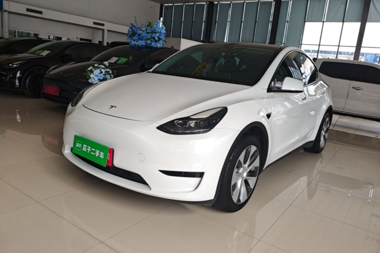 Tesla Model Y 2022 car image #2
