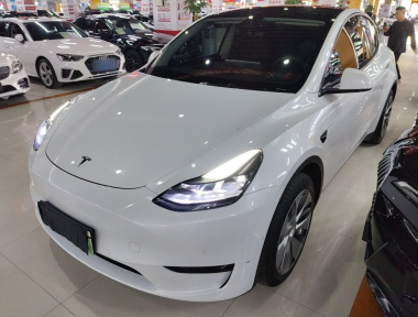 Tesla Model Y 2023 Tesla Model Y 2023 car image