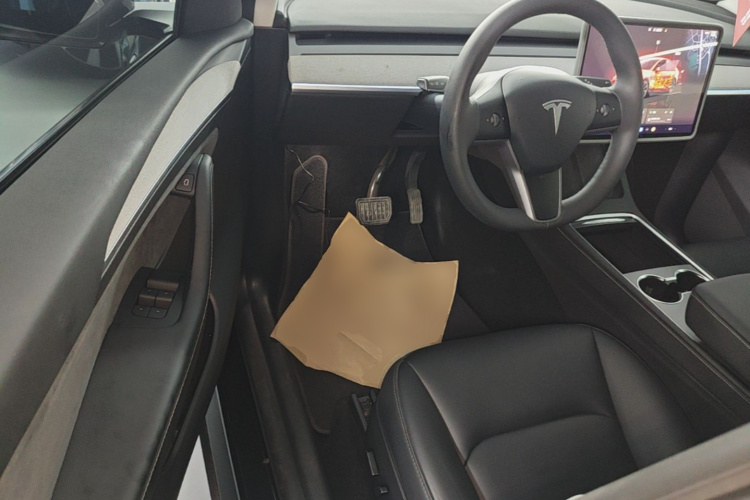 Tesla Model Y 2024 صورة سيارة #16