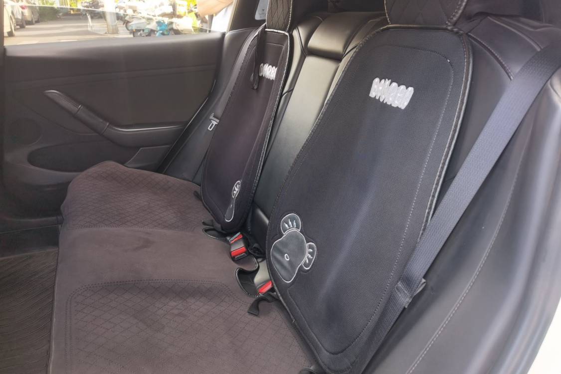 Tesla Model 3 2021 car image #19