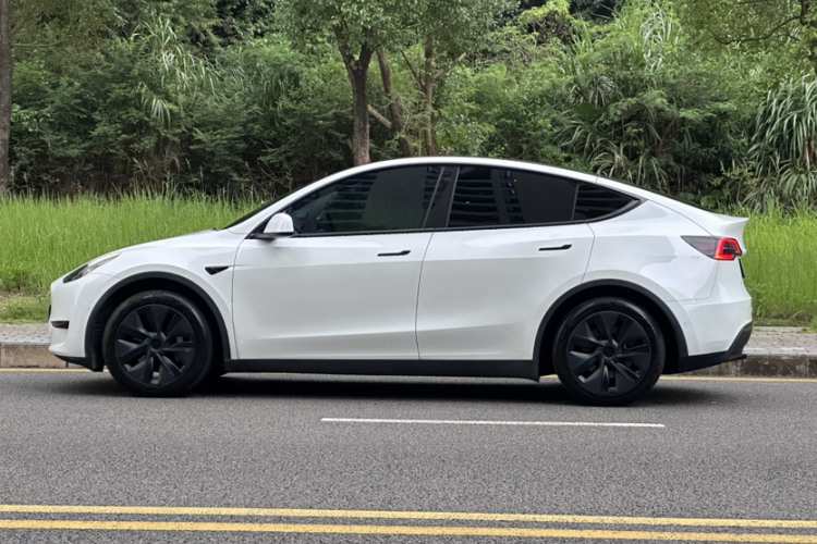 Tesla Model Y 2023 car image #12