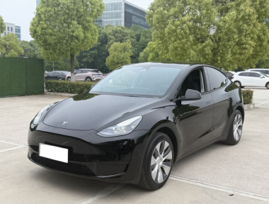 Tesla Model Y 2023 car image 