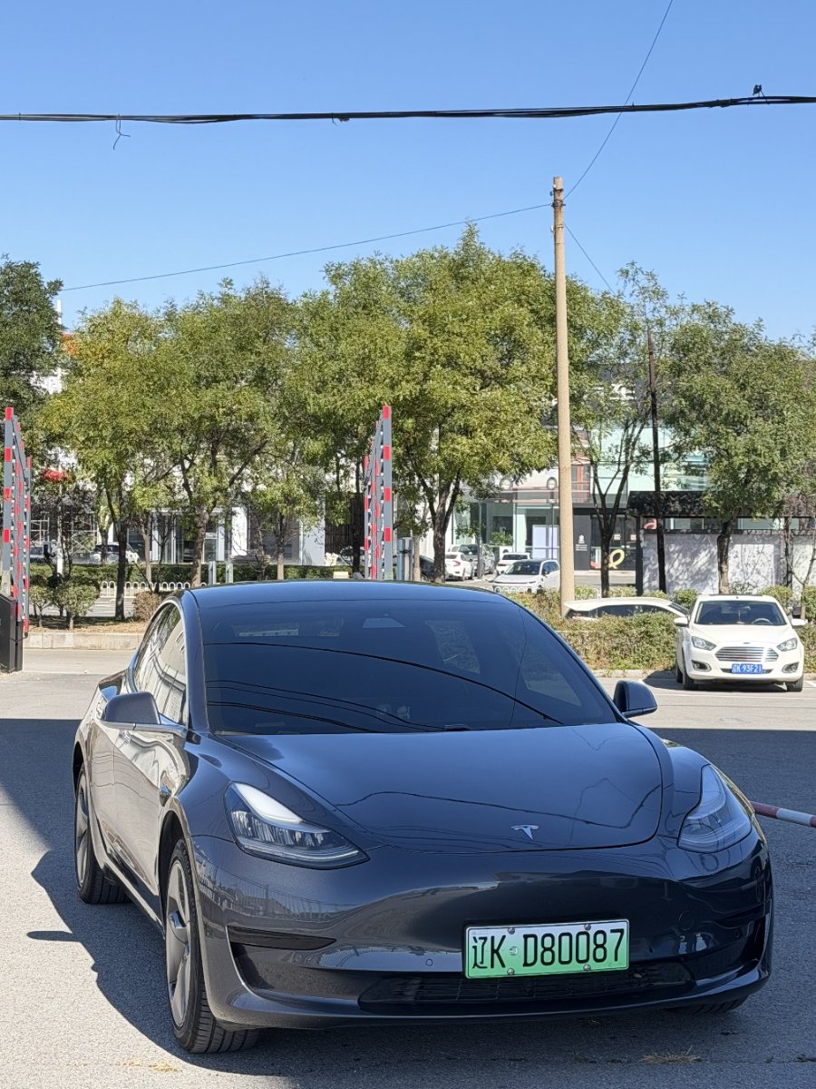 Tesla Model 3 2020 car image #3