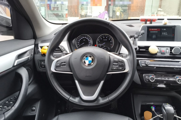 BMW X1 2019 car image #12