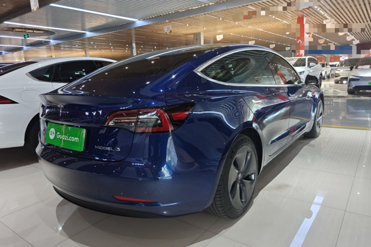Tesla Model 3 2020 #5 Tesla Model 3 2020 car image #5