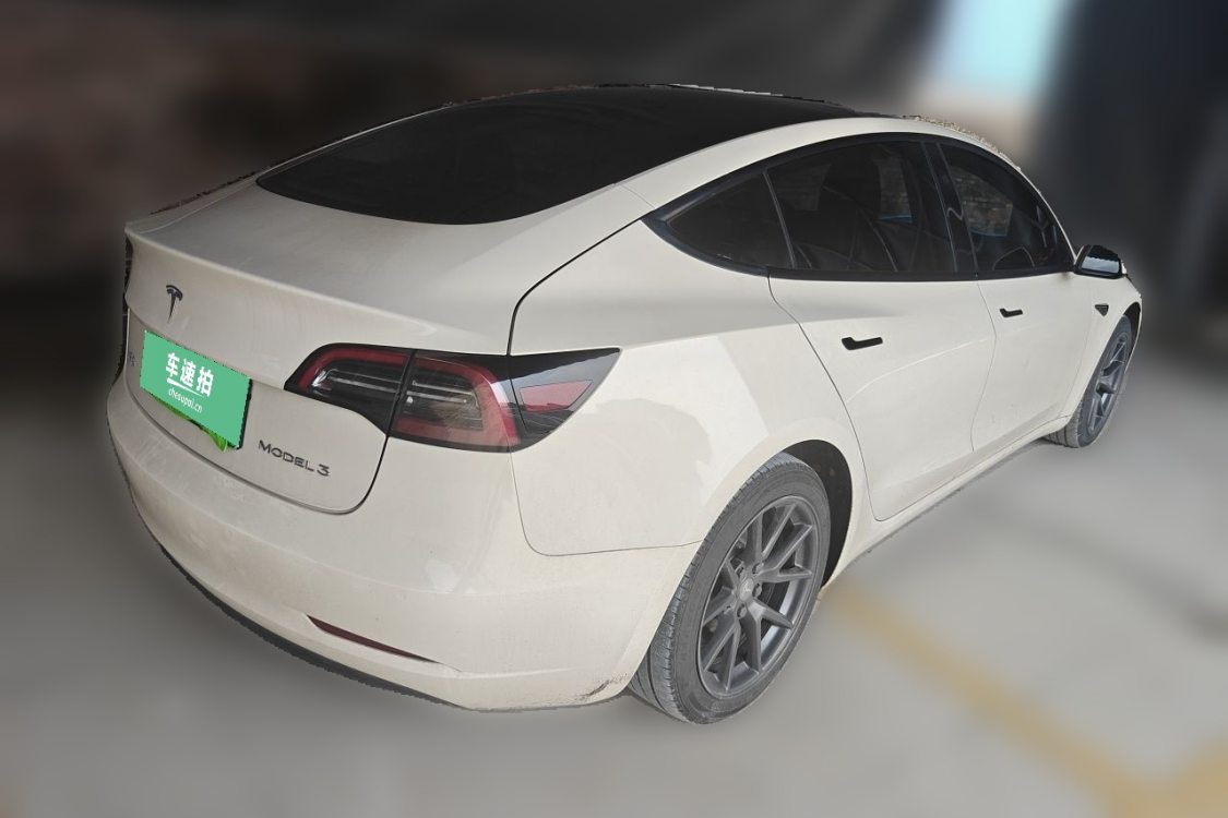 Tesla Model 3 2021 car image #4