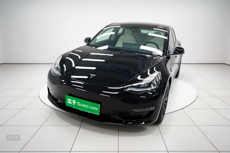 Tesla Model 3 2023 immagine di auto #2
