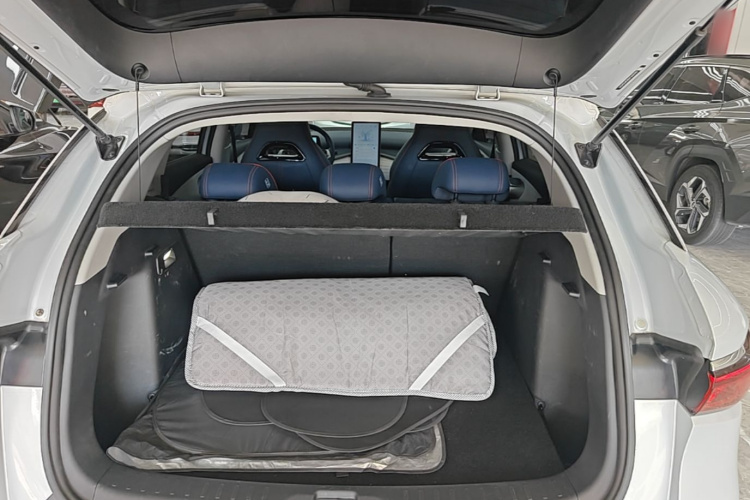 BYD Yuan Plus 2023 car image #19