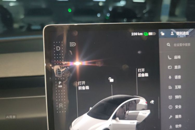 Tesla Model 3 2025 car image #16