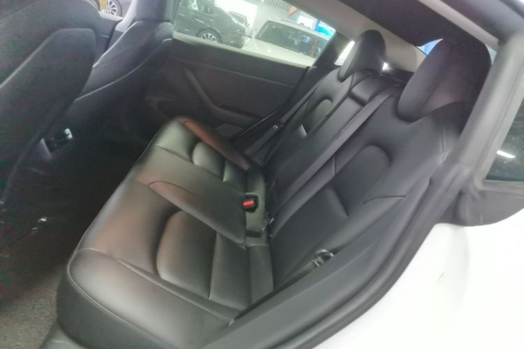 Tesla Model 3 2020 car image #17