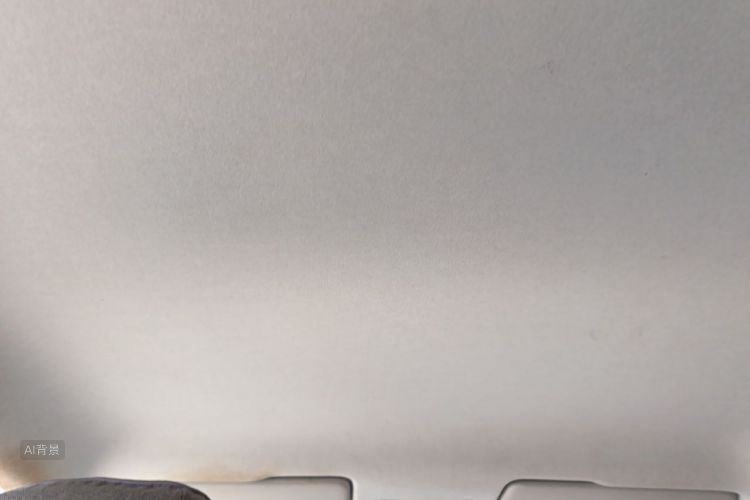 Volkswagen Santana 2020 car image #20