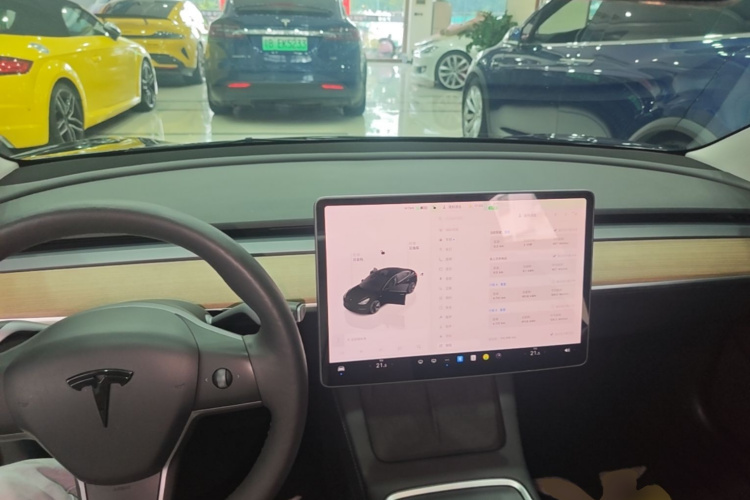 Tesla Model 3 2023 #11 Tesla Model 3 2023 car image #11