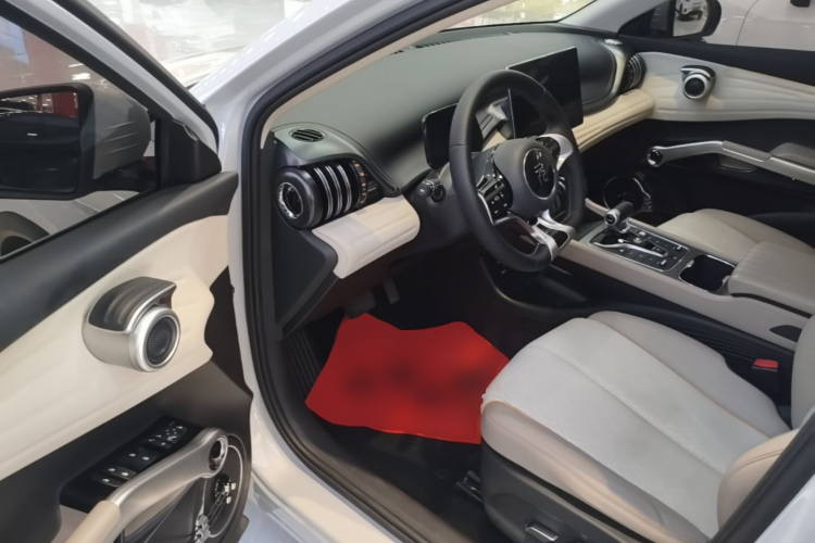 BYD Yuan Plus 2023 car image #16