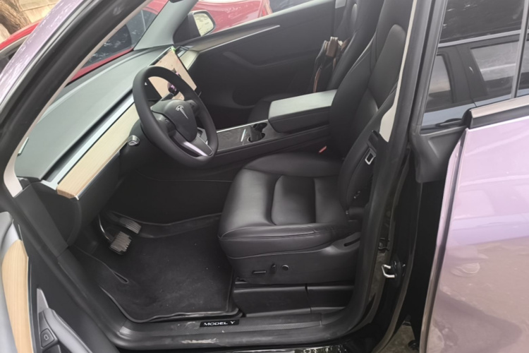 Tesla Model Y 2022 car image #15