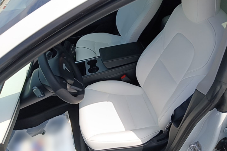 Tesla Model 3 2021 #15 Tesla Model 3 2021 car image #15