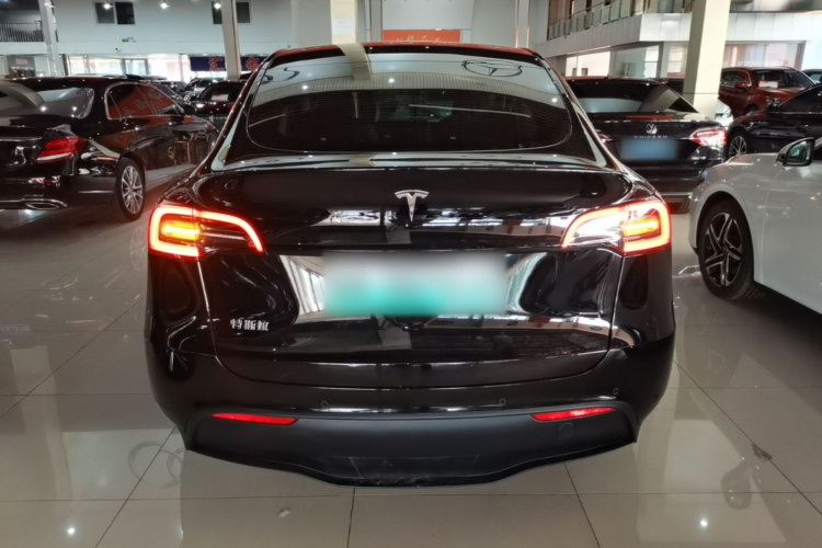 Tesla Model Y 2023 car image #6