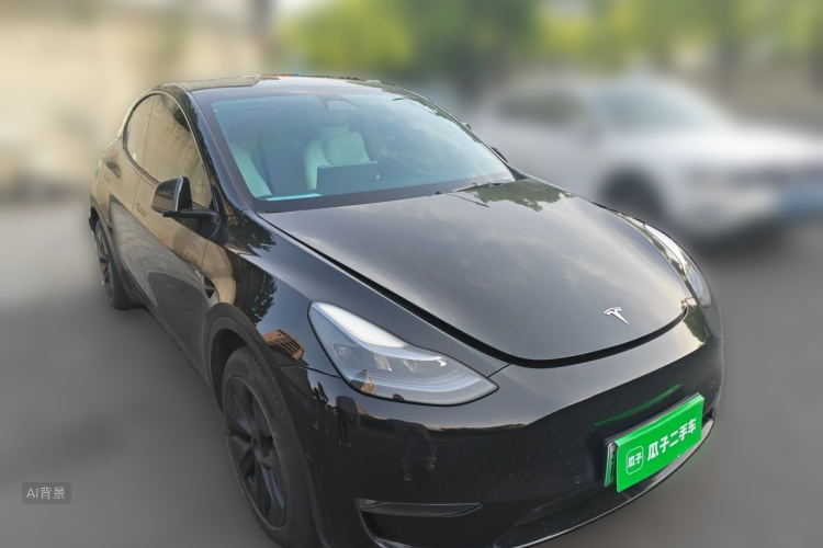 Tesla Model Y 2023 car image #4