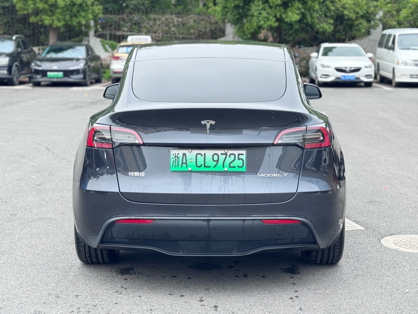 Tesla Model Y 2024 car image #8