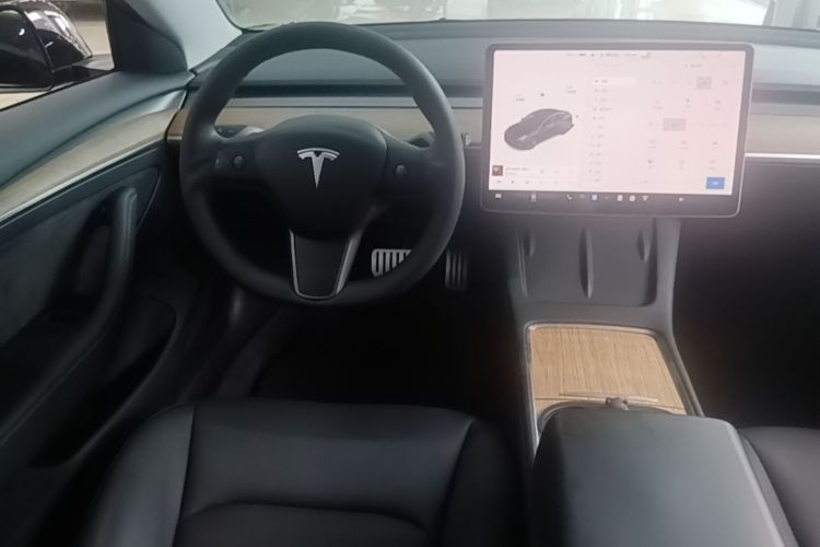 Tesla Model 3 2021 #13 Tesla Model 3 2021 car image #13