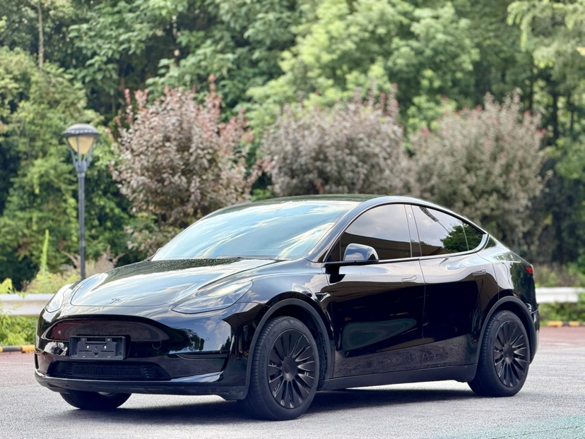 Tesla Model Y 2023 Tesla Model Y 2023 car image