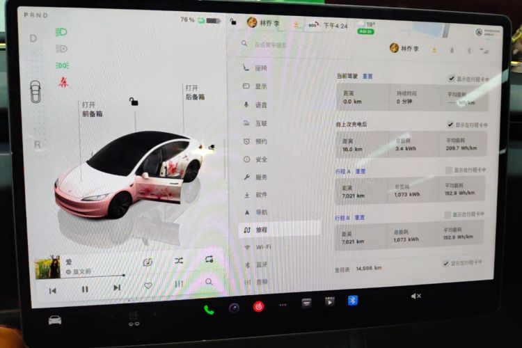 Tesla Model 3 2024 car image #12