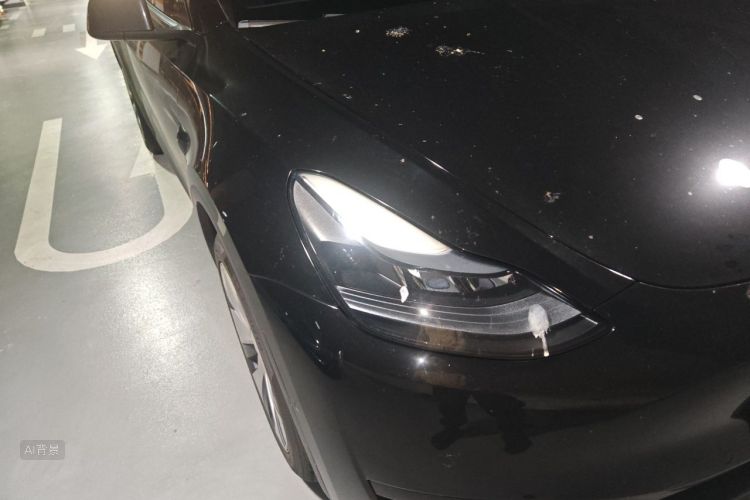 Tesla Model Y 2023 #8 Tesla Model Y 2023 car image #8