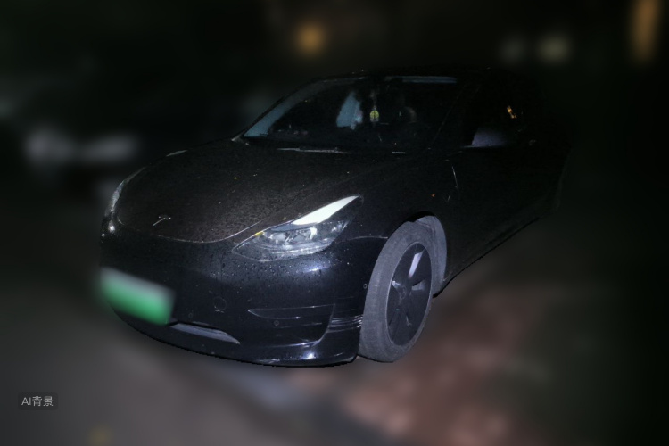Tesla Model 3 2023 #2 Tesla Model 3 2023 car image #2