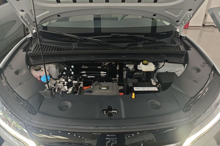 BYD YuanUP 2024 image de voiture #20
