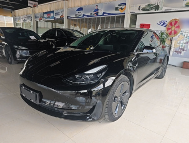 Tesla Model 3 2021 Tesla Model 3 2021 car image