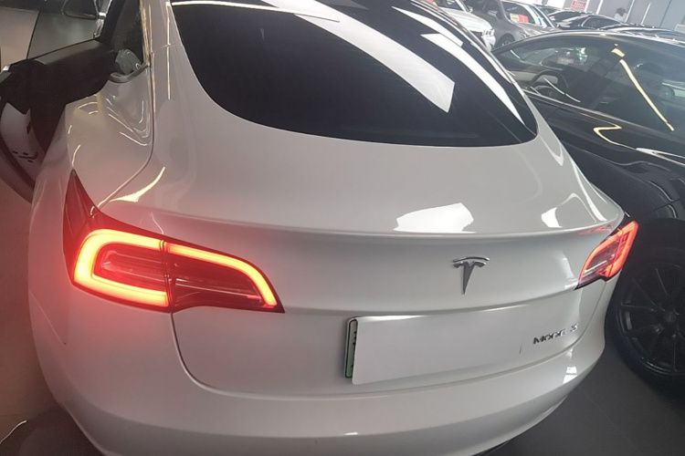 Tesla Model 3 2020 car image #6