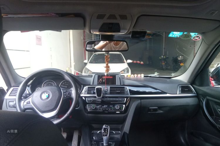 BMW 3 Series 2016 car image #11
