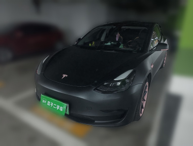 Tesla Model 3 2021 car image 