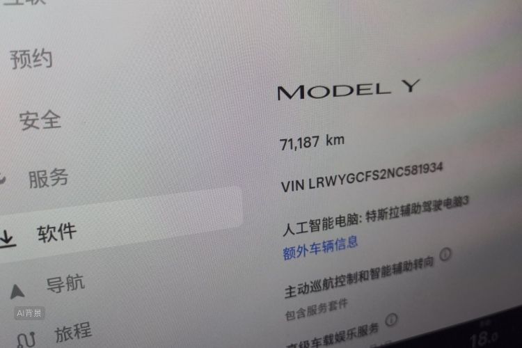 Tesla Model Y 2022 car image #14