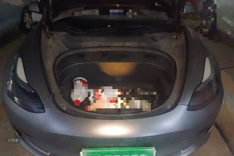 Tesla Model 3 2022 #22 Tesla Model 3 2022 immagine di auto #22