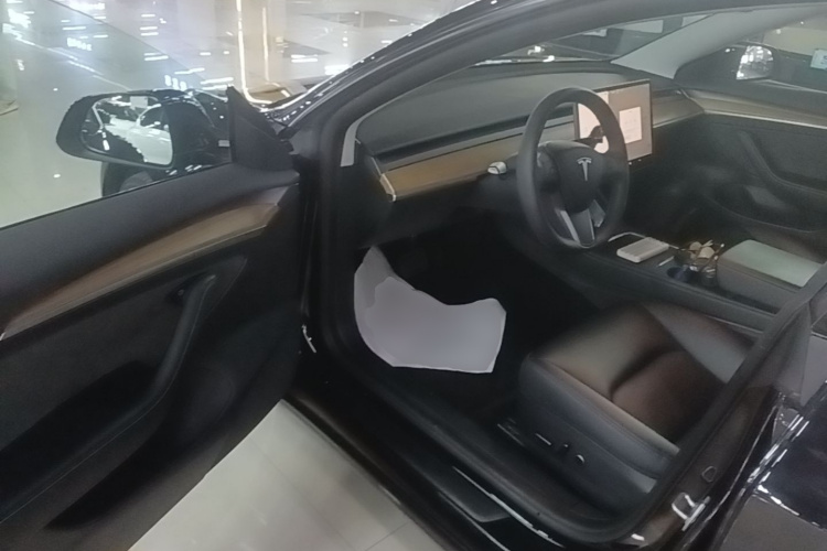 Tesla Model 3 2022 #16 Tesla Model 3 2022 car image #16