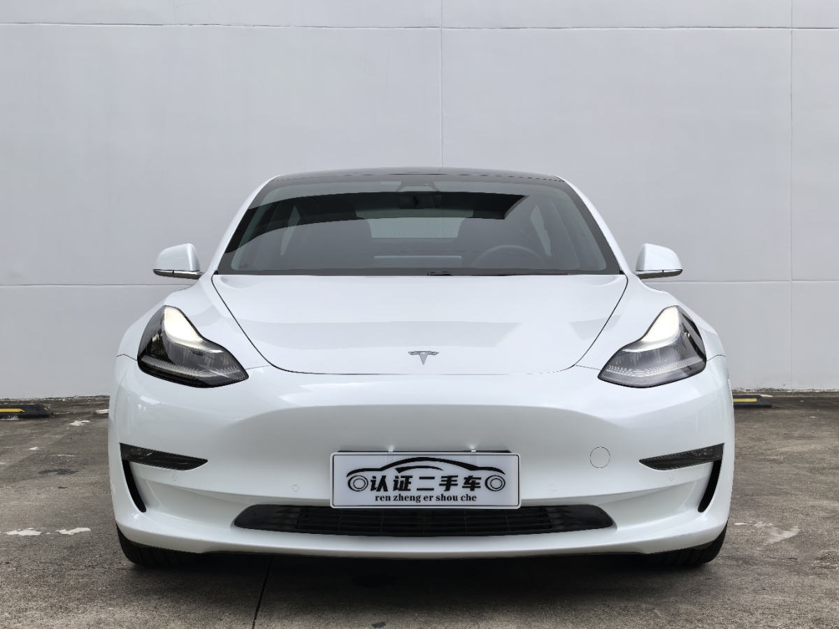 Tesla Model 3 2020 #2 Tesla Model 3 2020 immagine di auto #2