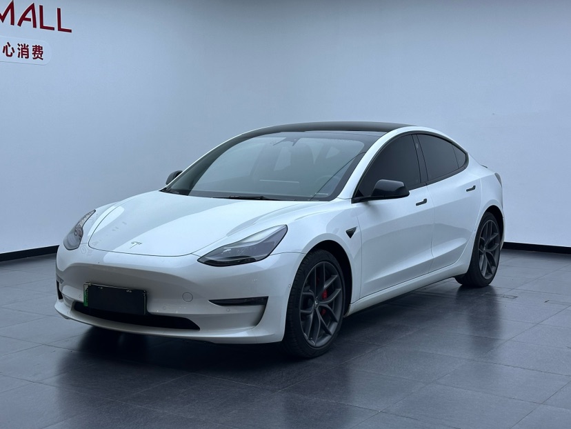 Tesla Model 3 2022 Tesla Model 3 2022 car image