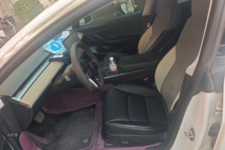 Tesla Model 3 2020 #17 Tesla Model 3 2020 car image #17