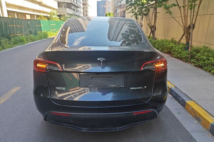 Tesla Model Y 2024 car image #6