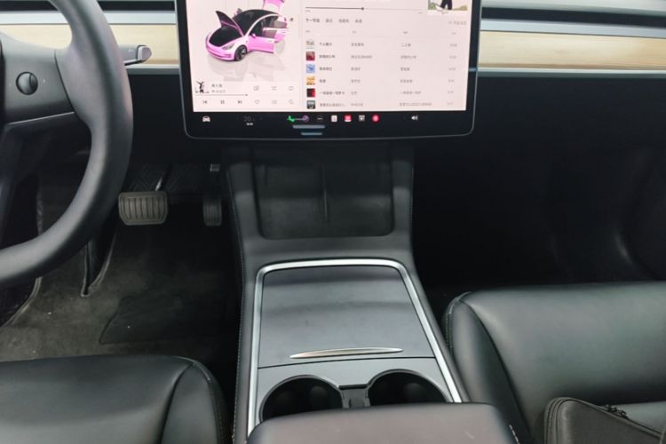Tesla Model 3 2022 immagine di auto #18