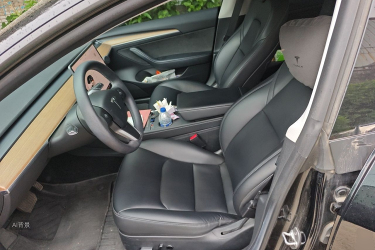 Tesla Model 3 2022 car image #17
