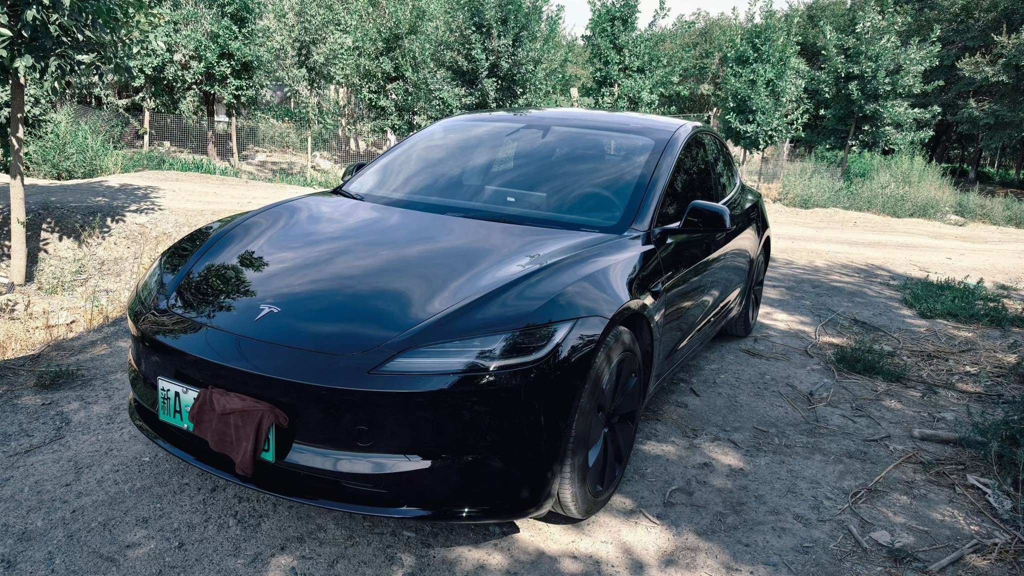 Tesla Model 3 2024 Tesla Model 3 2024 car image