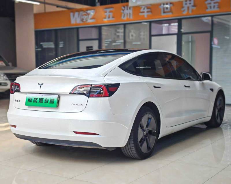Tesla Model 3 2021 #6 Tesla Model 3 2021 car image #6